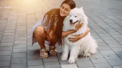 De mest kärleksfulla hundraserna för barnfamiljer – hundar som verkligen älskar människor