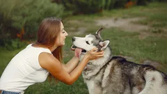 Hur du pratar med din hund så att den verkligen förstår dig