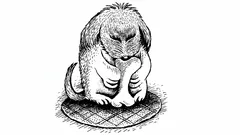 Den lurviga hunden lurar ögat – kan du se den dolda personen på bilden?