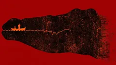 Vad såg du först: Psykologiskt test som avslöjar dina viktigaste karaktärsdrag