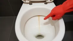 Alla känner igen den här gula randen – men få vet hur enkelt man kan bli av med den